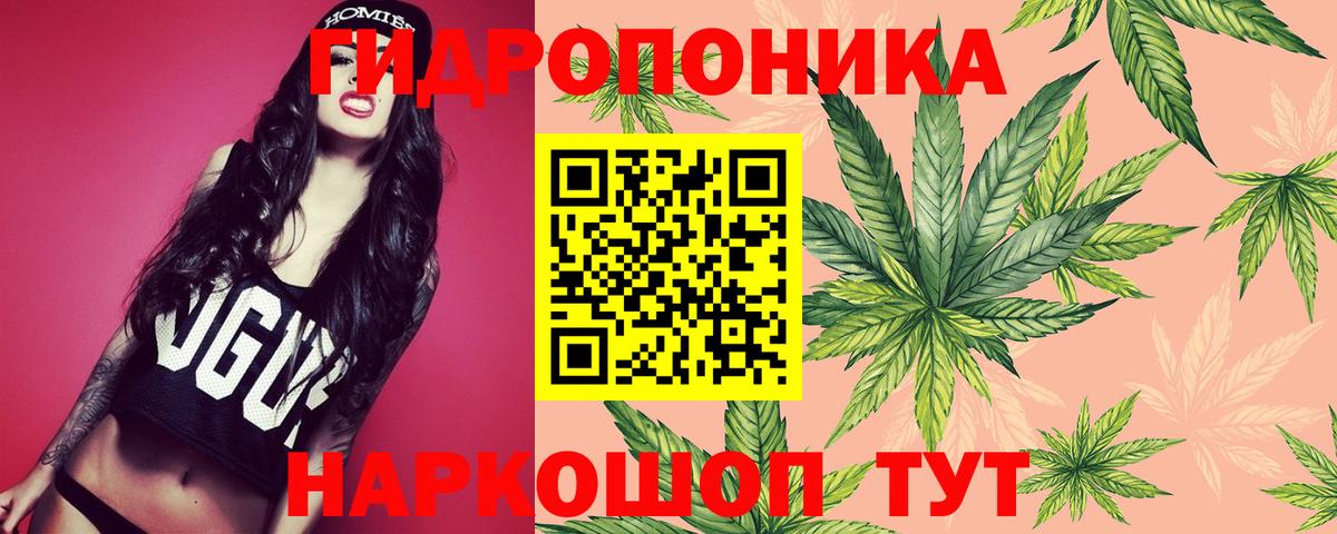 Марихуана Ganja  МАРИХУАНА план  Малоярославец  Вход с VPN  Каннабис White Widow  Шишки марихуана SATIVA & INDICA 